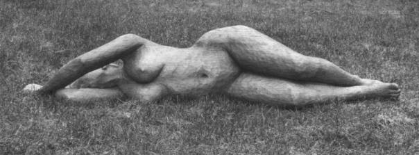 Elm Nude by S. Lindsay